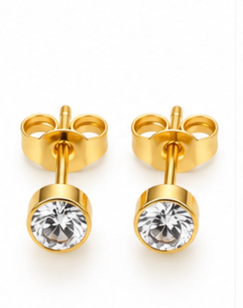 Stainless Steel Round Crystal Stud Earrings
