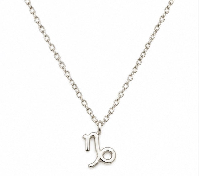 925 Sterling Silver Capricorn Zodiac Necklace – 18"