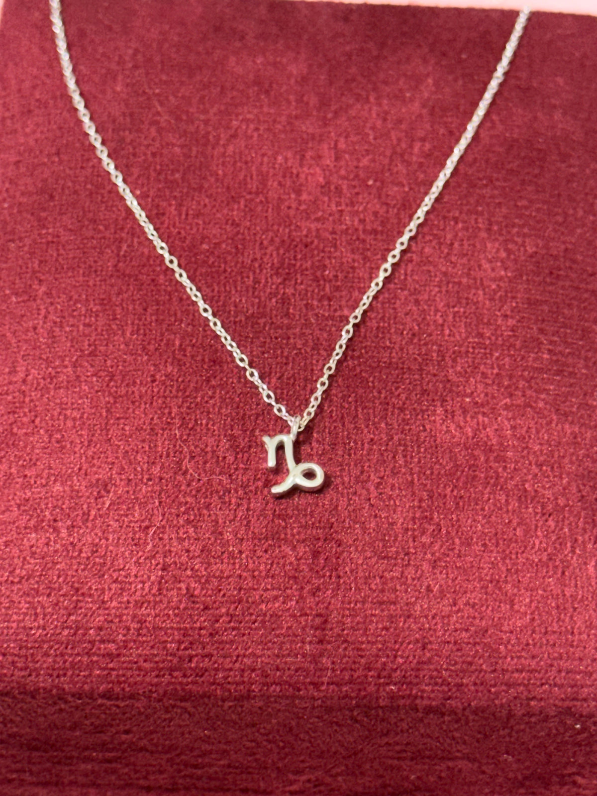 925 Sterling Silver Capricorn Zodiac Necklace – 18"