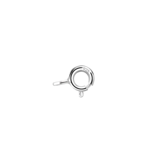 Silver Spring Lock - Pack of 10